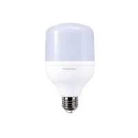HIGHTPOWER-SYLVANIA SYLVANIA P24892 HIGH POWER 30W E27 6500K